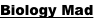 shapeimage_2_link_8